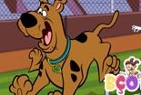 Scooby Doo Koşu