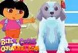 Dora Köpek Bakımı