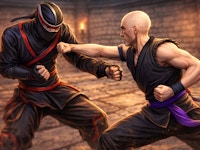 Dragon Fist 3D