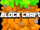 Block Craft Adventure
