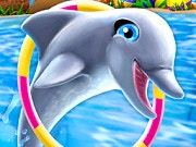 Join the Dolphin Show!