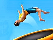 Trampoline Flip Master